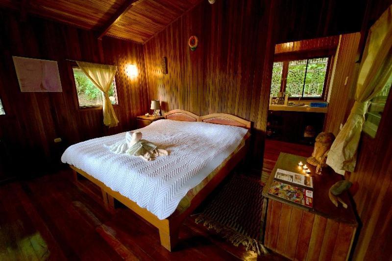 Lodge Mirador - Great Swimming Pool - Kitchen - Bbq - Netflix Tajo Alto 외부 사진