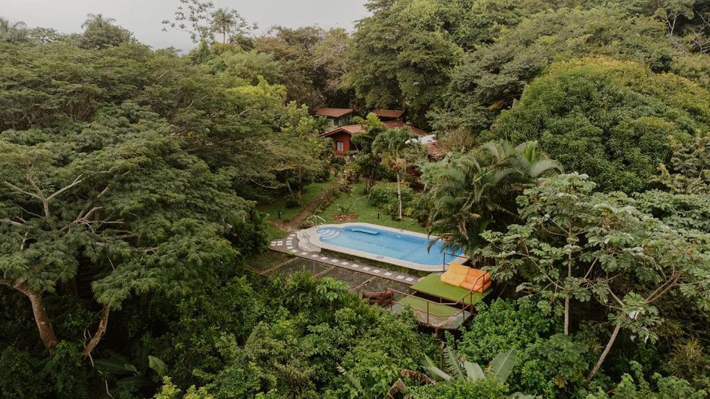 Lodge Mirador - Great Swimming Pool - Kitchen - Bbq - Netflix Tajo Alto 외부 사진
