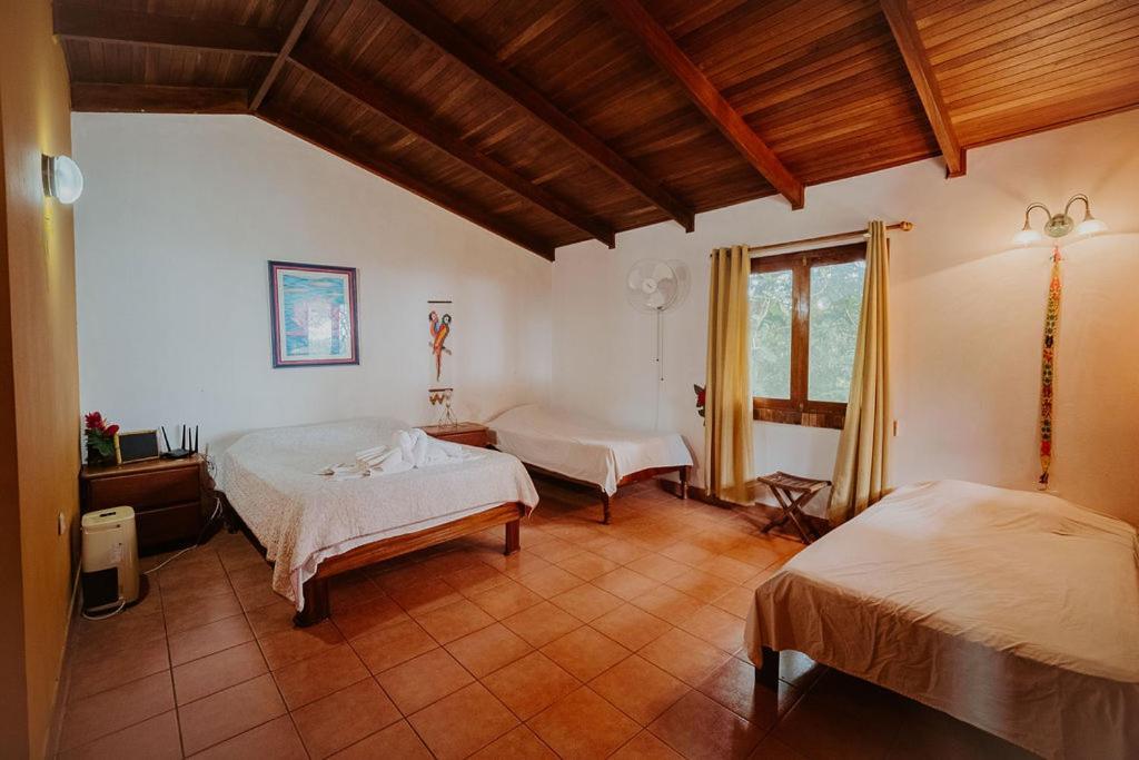 Lodge Mirador - Great Swimming Pool - Kitchen - Bbq - Netflix Tajo Alto 외부 사진