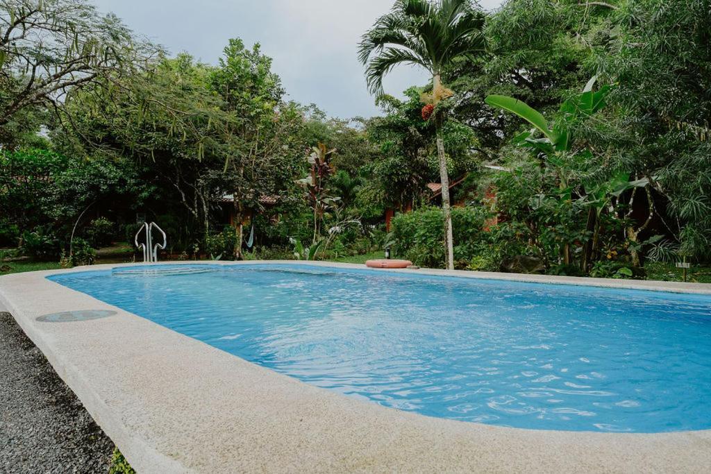 Lodge Mirador - Great Swimming Pool - Kitchen - Bbq - Netflix Tajo Alto 외부 사진