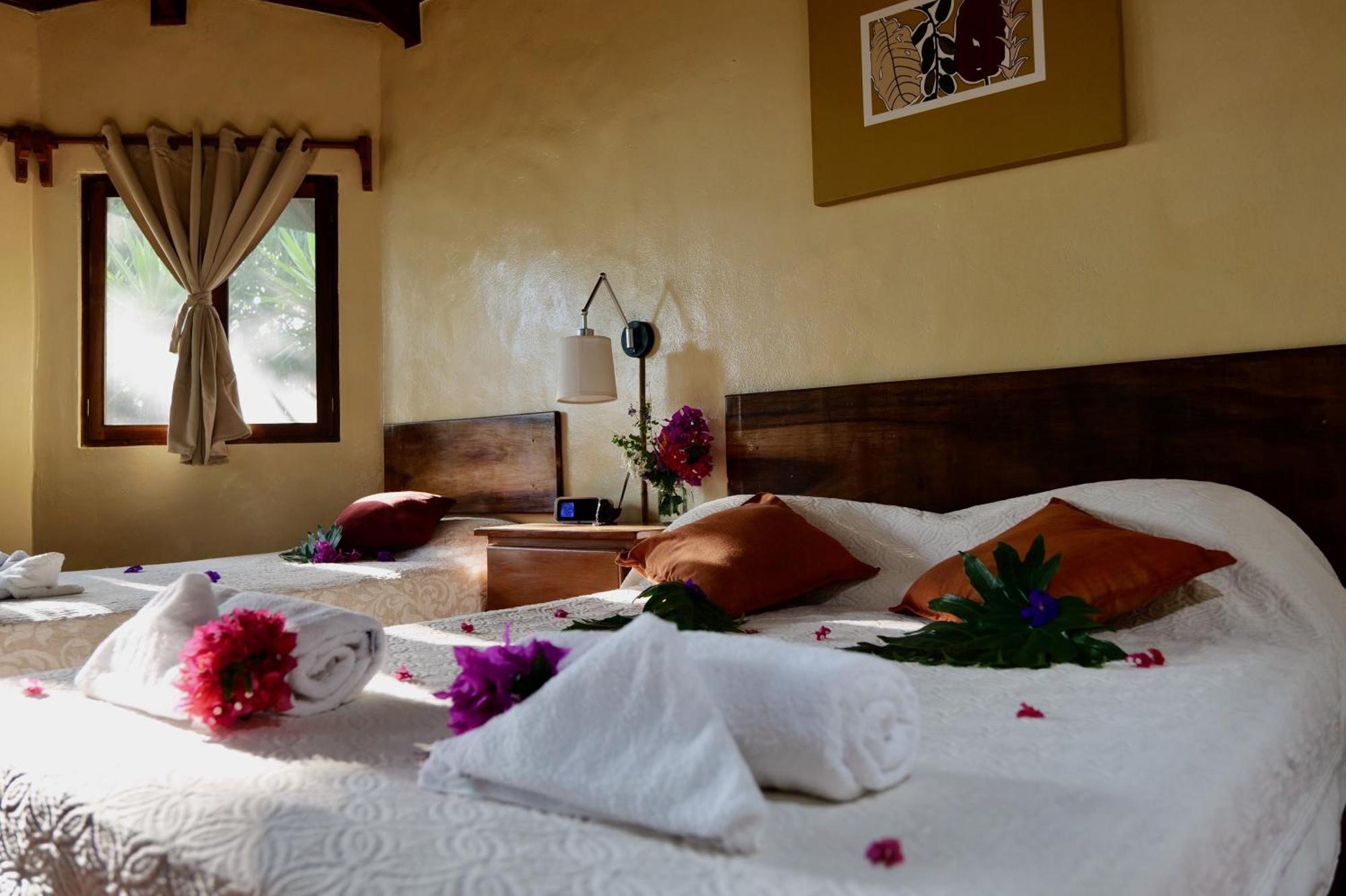 Lodge Mirador - Great Swimming Pool - Kitchen - Bbq - Netflix Tajo Alto 외부 사진