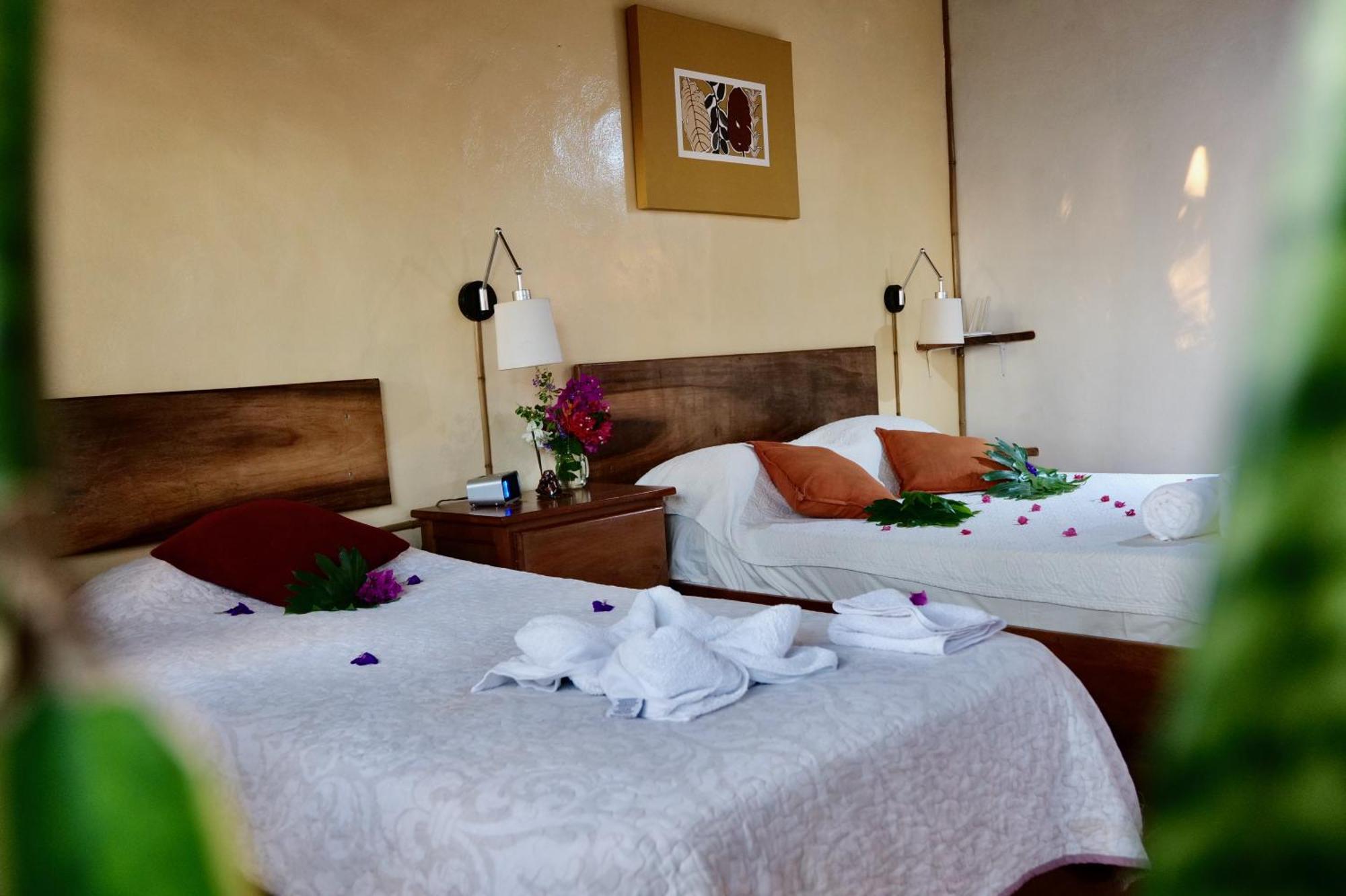 Lodge Mirador - Great Swimming Pool - Kitchen - Bbq - Netflix Tajo Alto 외부 사진